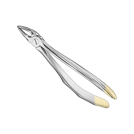 Extracting forceps, anat.